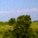 GifViewer [macOS] App